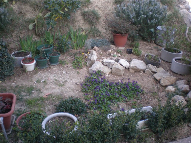 slika vrta